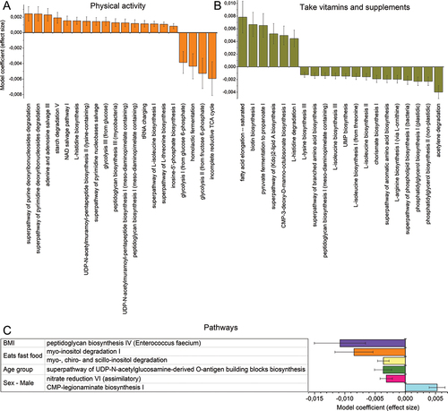 Figure 5. Significant associations identified via multivariate associations with linear models as implemented by MaAsLin2 R-packageCitation19 (FDR < 0.25), between the gut microbiota functional potential (i.e., PICRUSt2 data) and the diet, habits, and clinical history of the Paraguayan cohort. Top 20 pathways associated with physical activities (A), and intake of vitamins and supplements (B), respectively. (C) pathways associated with habits and clinical history. Each association analysis was adjusted for fixed effects according to the data distribution and as previously suggested.Citation20