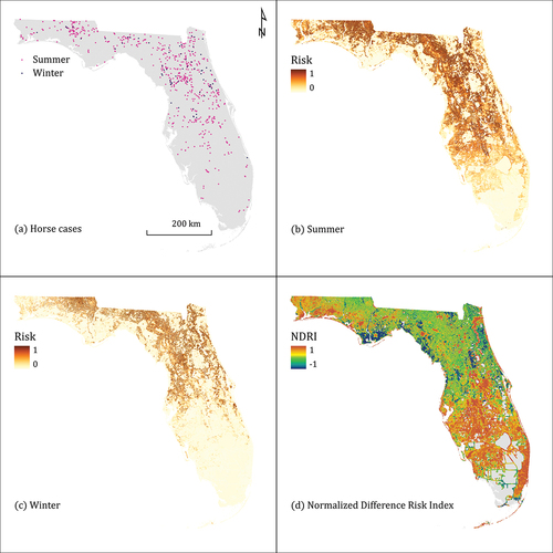 Figure 2. Summer and winter horse cases of EEEV in Florida during 2010–2018 (a) and their associated predicted summer risk (b), winter risk (c), and normalized difference risk index (d).