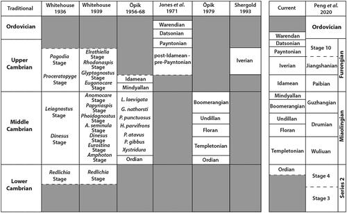 Fig. 2. Development of current stadial scheme. The columns showing the schemes devised by Whitehouse (Citation1936, Citation1939), Öpik (Citation1956, Citation1961, Citation1963, Citation1967, Citation1968), Jones et al. (Citation1971), Öpik (Citation1979) and Shergold (Citation1993) are calibrated against the ‘traditional’ tripartite division of the Cambrian in the left-hand column, and are plotted where the various authors suggested they belonged at the time of publication. The current scheme, which is in the column second from right, is calibrated against the most recent global scheme of Peng et al. (Citation2020), which is shown in the right-hand column. Zone abbreviations: A. seminula = Agnostus seminula; L. laevigata = Lejopyge laeviagata; G. nathorsti = Goniagnostus nathorsti; P. punctuosus = Ptychagnostus punctuosus; H. parvifrons = Hypagnostus parvifrons; P. atavus = Ptychagnostus atavus (= Acidusus atavus); P. gibbus = Ptychagnostus gibbus.