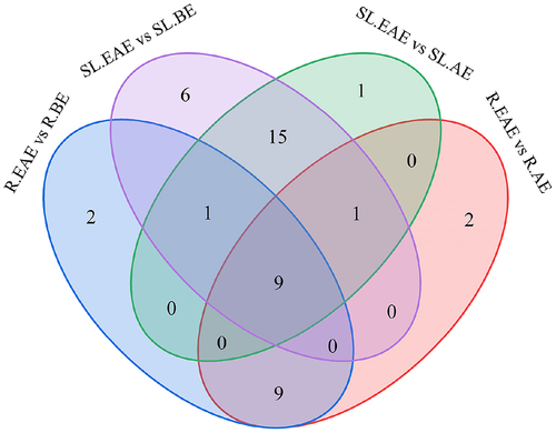 Figure 9. Venn diagram showing the number of overlapping and specific differential metabolites in the four comparison groups (R.EAE vs. R.BE, R.EAE vs. R.AE, SL.EAE vs. SL.BE, SL.EAE vs. SL.AE). Roots ethyl acetate extract (R.EAE), roots n-butanol extract (R.BE), roots aqueous extract (R.AE), stems-leaves ethyl acetate extract (SL.EAE), stems-leaves n-butanol extract (SL.BE), stems-leaves aqueous extract (SL.AE).