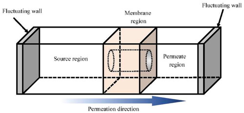 Figure 1. Schematic figure of a unit cell used for fluctuating-wall NEMD.