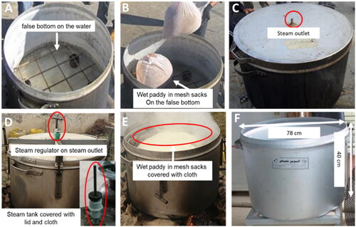 Figure 2. Detailed information on the steaming pan. (A) False bottom on the water, (B) wet paddy in mesh sacks on the false bottom, (C) steam outlet, (D) steam regulator on the steam outlet, (E) wet paddy in mesh sacks covered with cloth, and (F) the size of the steaming pan.