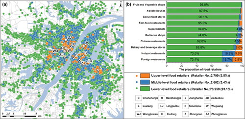 Figure 7. Classification of all food retailers into hierarchical levels: (A) spatial distribution of food retailers in a hierarchical structure; (B) proportion of food retailers under various types.