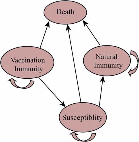Figure 1. Decision-tree for varicella vaccination.