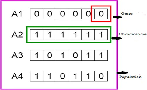 Figure 4. Population, chromosome, and genes in the genetic algorithm.
