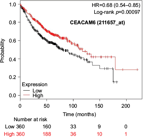 Figure 5 Kaplan–Meier survival curves of the higher and lower expression groups divided by the median value of CEACAM6 (Jetset probe, 211657_at) in patients with adenocarcinoma.