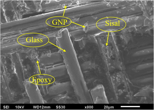 Figure 9. SEM micrograph of GNPs filled sisal/glass fiber reinforced nanocomposite with filler content of 0.5 wt.%.