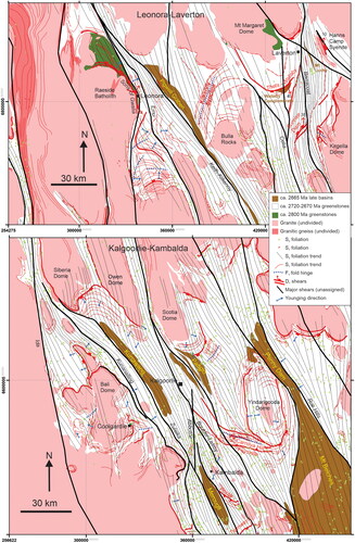 Figure 10. Foliation trajectory maps of the Leonora–Laverton and Kalgoorlie districts show that the north- to north-northwest-trending S2 foliation is the dominant fabric, particularly in the Kalgoorlie district. However, S1 foliation and D1 shears are well preserved in D2 strain shadows around the major granite bodies such as the area east of the Raeside Batholith, above the Mt Margaret Dome, around the Bali Dome and south of the Siberia, Owen and Scotia domes. Younging directions typically face away from the granite domes.