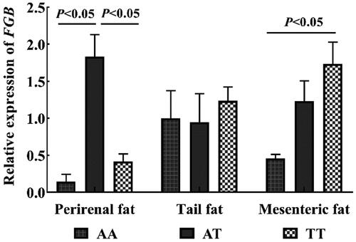 Figure 4. FGB mRNA expression profile in Hu sheep fat tissues.