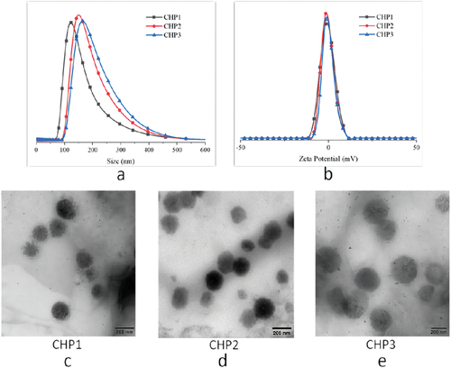 Figure 3. The sizes, zeta potentials and TEM morphology of three CHP nanoparticles.