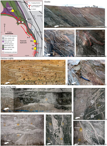 Figure 16. Contrasting structural styles of gold deposits in the Leonora area: (a) location map; (b) Sons of Gwalia (SOG) shear in Gwalia pit; (c) foliation drag indicates extensional displacement on the SOG shear in Gwalia pit; (d) tightly folded lodes of the Gwalia deposit within the SOG shear; (e) large recumbent F1 folds in the hanging wall of the SOG shear, Harbour Lights pit; (f) foliation drag indicates extensional movement on the SOG shear, Harbour Lights pit; and (g–k) gold is hosted in veins and shears in the deformed carapace of a granite body. Sinistral movement is observed on flat-lying lodes developed on the top of the granite body, and on the steep lodes and breccia veins along the eastern side of the granite body.