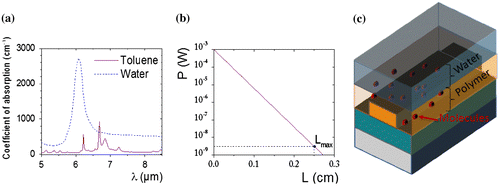 Figure 7. (a) Mid-IR absorbance spectra of toluene at 100 v/v % and water at T = 278 K. (b) Power transmitted response as a function of the waveguide length taking into consideration the strong absorbance of water in the mid-IR. (c) Scheme of waveguide functionalization: a polymer non-absorbing in the mid-IR is deposited as superstrate for detection of pollutants dissolved in water.