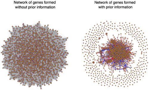 Figure 1. Networks of 1735 genes profiled in a time-course gene expression dataset collected by Schlamp et al. (Citation2021). Vertices represent genes and edges connect two genes if their lead-lag R2 exceeds 0.9. Left: lead-lag R2 is computed using ordinary least squares regression according to Farina et al. (Citation2008), without any external biological information. All 1735 genes form a single connected component (599,896 edges). Right: lead-lag R2 is computed using our proposed Bayesian approach, which leverages external sources of biological information about gene-gene relationships. Red edges (11,380 edges) connect genes known to be associated. Blue edges (2830 edges) connect genes whose relationship is unknown but is supported by the data.
