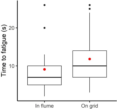 Figure 3. Box plot of time-to-fatigue for the fish swimming or resting in the flume (n = 21) or resting on the grid (n = 37) at the end of habituation/beginning of transition. The red dot is the mean, whereas the solid black line is the median fatigue time. The black dots represent the outliers, whereas the bounding box defines the Interquartile Range (IQR) of the time-to-fatigue data for each treatment. The vertical solid black lines mark Q1 – 1.5*IQR (bottom end) and Q3 + 1.5*IQR (top end), where Q1 and Q3 are the 25th and 75th percentiles, respectively.