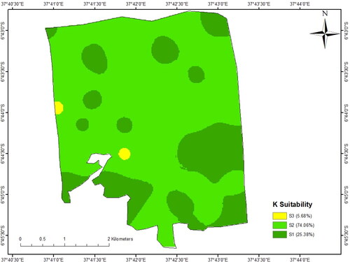 Figure 10. Potassium suitability map for sunflower production of Tungi Farm.