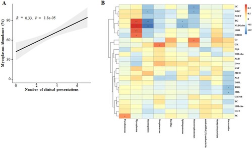 Figure 7. Correlation networks between microbiota and disease severity. (A) Concordance of the MP abundance and complication numbers. (B) Correlation between the different abundance of respiratory microbiota at the genus level and the clinical indices in children with severe MPP when compared with mild MPP.
