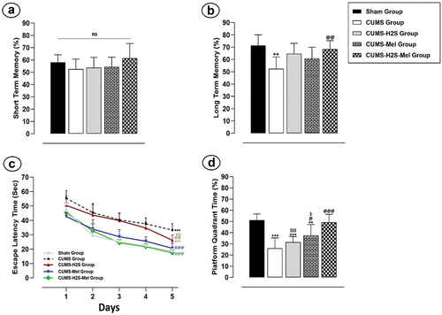 Figure 4. Effects of H2S (5.6 μmol/100 g) and Melatonin (1 mg/100 g) on CUMS-Induced Learning and Memory Impairment: (a) STM in the nor test; (b) LTM in the nor test; (c) Escape latency (sec) in the MWM test; (d) Platform quadrant time (%) in the MWM test. +++P < 0.001 vs Sham group; @P < 0.05, @@P < 0.01, @@@P < 0.001 vs CUMS group; $P < 0.05, $$$P < 0.001 vs CUMS-H2S-Mel group; ANOVA/Post hoc (Tukey test).
