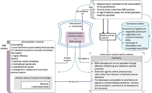 Figure 14. Connective intervention influence in the RGS, direct users’ collective action problems, and public-bad risk context for the BXW disease management in Rwanda.