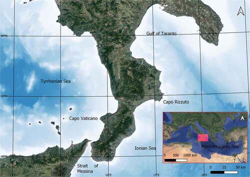Figure 1. The Calabrian region (shown with red polygon), in the center of the Mediterranean Sea.