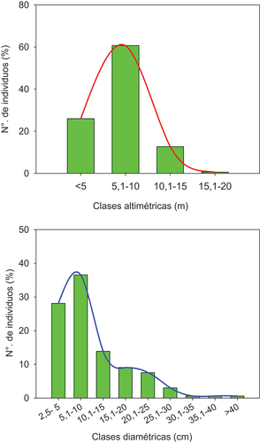 Figure 4. Clases altimétricas (arriba) y clases diamétricas (abajo) considerando los individuos etiquetados de todas las especies.