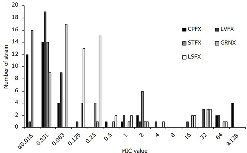 Figure 1 Distribution of MIC values of fluoroquinolone against Escherichia coli clinical isolates (n=40). The data shows the number of strains indicating each MIC value of fluoroquinolone.