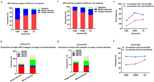 Figure 2. Co-infection of E. coli and HPV16 in patients with cervical cancer and its precursors. HPV infection status in CC and CIN II/III patients from either cohort #1 (a) or cohort #2 (c); the proportion of mainly HPV subtypes in the context of HPV single or mixed infection in CC and CIN II/III patients from either cohort#1(b) or cohor#2; (d) the proportion of E. coli and HPV coinfection in patients with cervical cancer and precursor lesions from either cohort#1 (e) or cohor#2 (f).