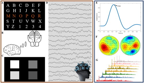 Figure 4. Three common paradigms used in designing AR-BCI. (a–c) represent the experimental paradigms for P300, MI, and SSVEP, respectively. (d) Displays the collected EEG signals, (e) shows the time-domain waveform of P300, (f) exhibits the energy topography of imagined left and right-hand movements, and (g) depicts the frequency-domain waveform of SSVEP.
