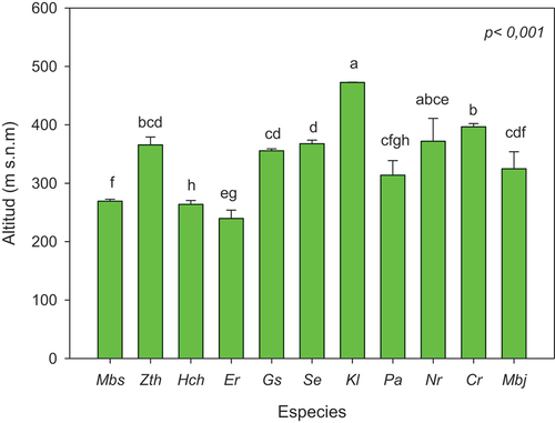 Figure 5. Altitud ocupada por cada especie. Resultados prueba de kruscal-wallis y de la comparación por pares mediante la prueba U de Mann Whitney (media ± error estándar). Abreviaturas: Myroxylon balsamum (Mbs), Ziziphus thyrsiflora (Zth), Handroanthus chrysanthus (Hch), Eriotheca ruizii (Er), Geoffroea spinosa (Gs), Simira ecuadorensis (Se), Klarobelia lucida (Kl), Priogymnanthus apertus (Pa), Nectandra reticulata (Nr), Coccoloba ruiziana (Cr) y Melicoccus bijugatus (Mbj).