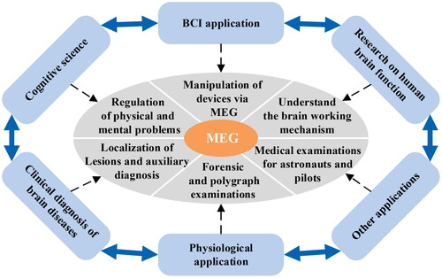 Figure 3. Examples of MEG applications.