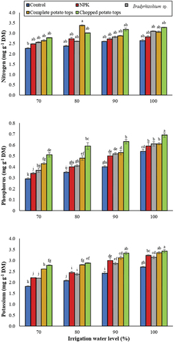 Figure 3. Mineral nutrient content of cowpea as affected by various irrigation levels, fertilizer types, and their interactions. Different letters donate statistically significant differences following Tukey test (p < 5%).