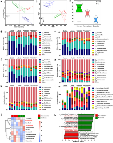 Figure 3. Baseline microbiome profiles can predict the treatment response. (a) PCA score plot. (b) NMDS plot. (c) ANOSIM analysis. (d-i) Fecal microbiota relative abundance at all levels. (j) Bacteria significantly varied at the genus level between groups with and without remission. (k) Bacteria significantly varied at the species level between groups with and without remission. (n = 3 in each group). The LEfSe algorithm was employed for performing differential abundance analyses using LDA coefficient cutoff values of 2.5 and FDR correction cutoff values of 0.05.