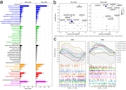 Figure 5. KEGG analysis on the DEGs of I. multifiliis. (a) an overview of annotated pathways in trophont-tomont, and tomont-theront. (b) the number of up-regulated and down-regulated genes in top 30 -log10(Qvalue) pathways. (c) GSEA analysis genes related to pathways of transport and catabolism, signal transduction, and membrane transport.