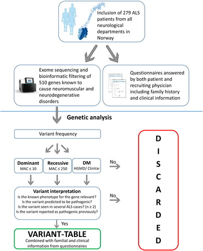 Figure 2 Overview of methods and variant interpretation. DMs = disease-causing mutations, HGMD = the Human Gene Mutation Database, MAC = minor allele count.