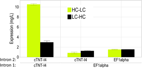 Figure 5. The alternative exon is more susceptible to splicing when flanked by identical sequences in Intron 2 and Intron 3, leading to higher levels of antibody expression. cTNT-I4 intron sequence allowed the highest expression levels.