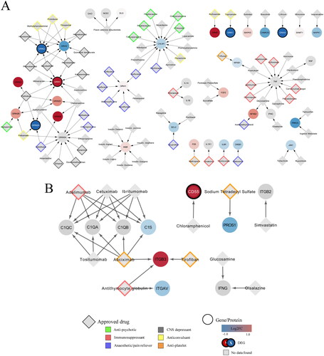 Figure 4. Network of interactions between FDA approved drugs and their targets in the combined neuroinflammation and complement system network. (A) Interactions derived from WikiPathways:WP5083 network. (B) Interactions derived from WikiPathways:WP5090 network. Log2 fold change values of the genes (ellipse) are represented by a colour gradient, with red and blue indicating upregulation and downregulation, respectively. DEGs are signified by a white label and black border. FDA approved drugs (grey diamonds) targeting the genes are categorised into antipsychotics (green), immunosuppressants (red), anaesthetics (purple), CNS depressants (grey), anticonvulsants (yellow) and antiplatelet (orange).