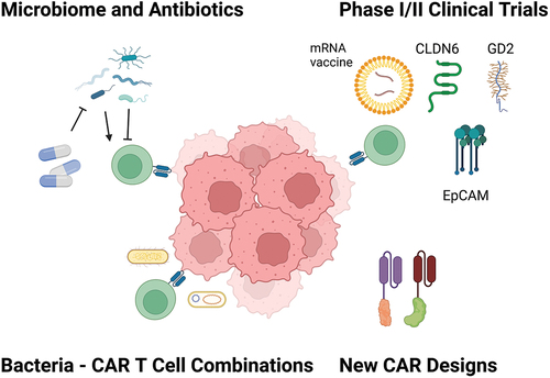 Figure 1. Schematic overview of major developments in 2023 in the field of CAR T cells for solid tumors. Created with BioRender.com.