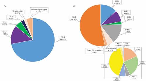 Figure 3. (a) The Proportion of NoV Genotypes from 1999 to 2014 (1250 cases from 15 studies);Citation14,Citation17,Citation19–21,Citation23,Citation25,Citation31,Citation32,Citation34,Citation35,Citation55,Citation84–86 (b)The Proportion of NoV Genotypes from 2014 to 2019 (1697 cases from 13 studies).Citation40,Citation46,Citation58,Citation59,Citation61,Citation62,Citation77,Citation79,Citation87–91