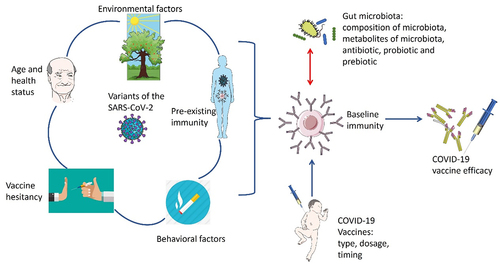 Figure 1. Potential factors influencing the efficacy of the COVID-19 vaccine.