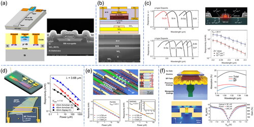 Figure 4. Waveguide-integrated photodetectors for photonic nanosystems. (a) NIR Si waveguide-integrated Ge photodetector fabricated by Ge epitaxy on Si. Reproduced with permission from Ref.[Citation123]; (b) MIR Si waveguide-integrated photodetector based on adhesively bonded III-V compounds. Reproduced with permission from Ref.[Citation128]; (c) ion-implanted Si MIR waveguide photodiode. Reproduced with permission from Ref.[Citation131]; (d) MIR Si waveguide-integrated BP photodetector. Reproduced with permission from Ref.[Citation33]; (e) slow-light-enhanced waveguide-integrated BP MIR photodetector. Reproduced with permission from Ref.[Citation150]; (f) BP photodetector based on a 3D integration platform of Si photonics and plasmonics. Reproduced with permission from Ref.[Citation145]