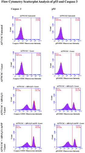 Figure 7. Post AlPcS4Cl and AlPcS4Cl-AuNP PDT, flow cytometry scatterplot analysis of p53 and caspase 3 apoptotic proteins on A375 total cell population and A375 CSC subpopulation. In AlPcS4Cl-AuNP PDT groups, both apoptotic proteins were found to be overexpressed.