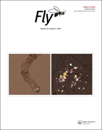Cover image for Fly, Volume 18, Issue 1, 2024