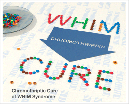 Figure 1. Chromothripsis (chromosomal shattering) resulted in clinical cure of a patient with a rare immunodeficiency (WHIM syndrome) by deleting the mutant copy of CXCR4.