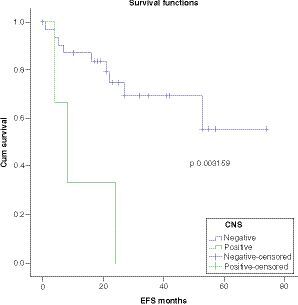 Figure 4 Event-free survival according to CNS status.EFS: Event-free survival.