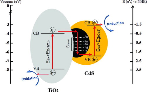FIGURE 7 Energy band diagram and charge transfer mechanism in CdS/M/TiO2 (M=Ag, Ru, Au, Pd, Pt) three-component nanojunction systems. (Figure provided in color online.)