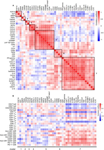 Figure 4. Association between inflammation-related proteins with clinical and immunological variables in treatment-naïve HIV-1-infected individuals. Differentially expressed IRPs between treatment-naïve individuals (TNs) and healthy controls (HCs) were determined. (A) Correlation among inflammation-related proteins (IRPs) is displayed using Spearman’s correlation matrix. Based on the correlation between the IRPs, these proteins were separated into seven clusters (1–7, from top to bottom). The clusters are highlighted in heatmap black boxes. (B) Heatmap showing Spearman correlations between differentially expressed proteins and clinical and immunological variables. Red and blue indicate positive and negative associations, respectively. *P < 0.05, **P < 0.01, ***P < 0.001.