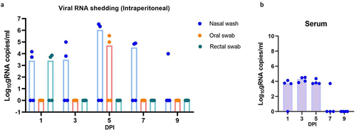 Figure 3. NiV RNA shedding and viremia in hamsters post intraperitoneal infection. a) Viral shed through the nasal wash, oral and rectal route. b) Viral RNA in serum samples collected from hamsters on various time points. The individual values along with median value are plotted in the graph.