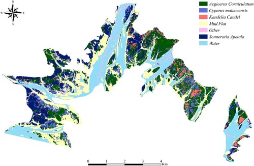 Figure 16. Displaying the spatial distribution of the dominant mangrove species in the study area.