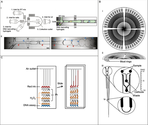 Figure 2 Microfluidic devices for nucleic acid detection.