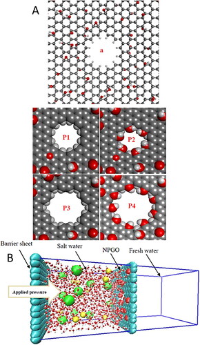Figure 8. (A). Nanoporous graphene oxide and different pore architectures (a) hydrogenated nanoporous graphene oxide (NPGO) with epoxy and hydroxyl groups on the surface; (P1) hydrogenated NPGO pore, pore radius ∼2.9 Å; (P2) hydroxylated NPGO pore, pore radius ∼3.1 Å; (P3) hydrogenated NPGO pore, pore radius ∼4.5 Å; and (P4) hydroxylated NPGO pore, pore radius ∼4.1 Å; (B) A snapshot of the simulated cell containing nanoporous graphene oxide (NPGO) nanosheet as a membrane, a graphene sheet as a barrier, water molecules, and ions (Na+ and Cl−). The NPGO was placed in the center of box and water molecules and ions were added to the one side of box [Citation151]. Reproduced with permission from Elsevier.