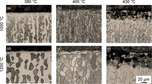 Figure 1. Light-optical micrographs of DSS 2205 annealed and subsequently nitrided in pure NH3 for 25 h at 380°C, 400°C and 430°C, respectively.